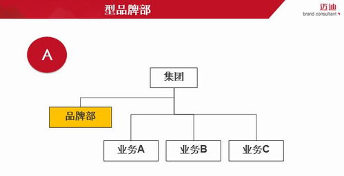 构建品牌管理体系 从战略到执行的全方位指南