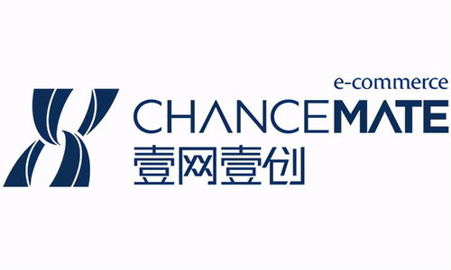 2023年电商代运营十大公司排名与品牌管理能力解析