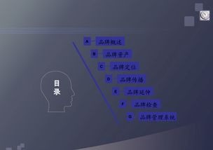 品牌管理 构建持久品牌价值的艺术与科学